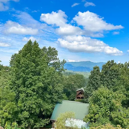 Little Black Bear Retreat Pigeon Forge Exterior photo