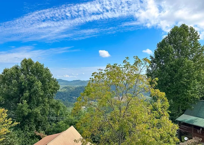 Little Black Bear Retreat