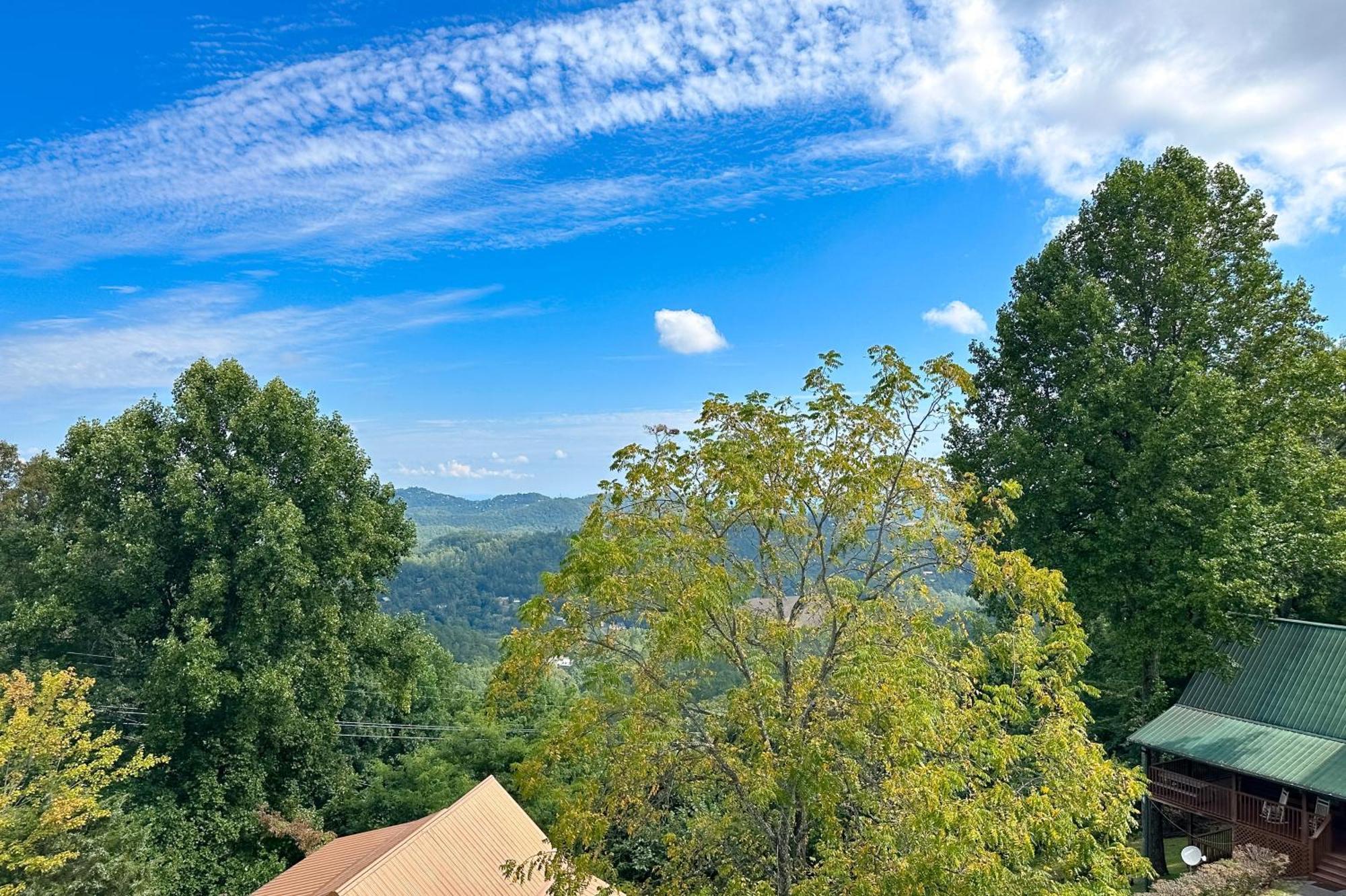 Little Black Bear Retreat Pigeon Forge